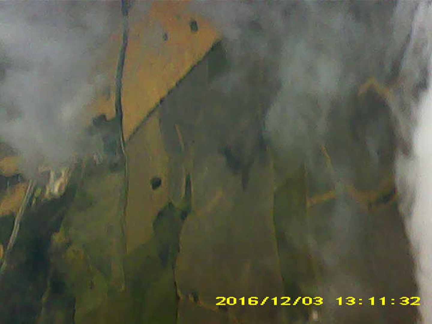 Pichon-2 2016_131132.JPG