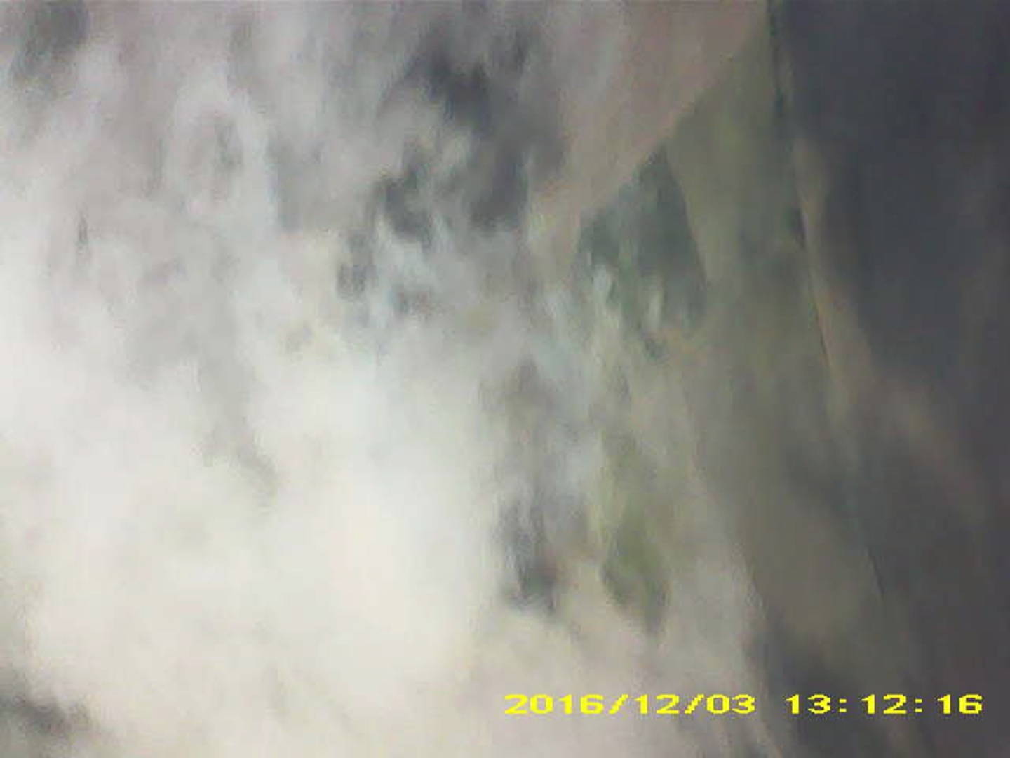 Pichon-2 2016_131216.JPG