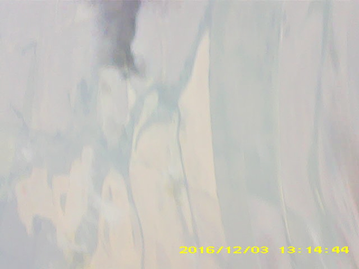 Pichon-2 2016_131444.JPG