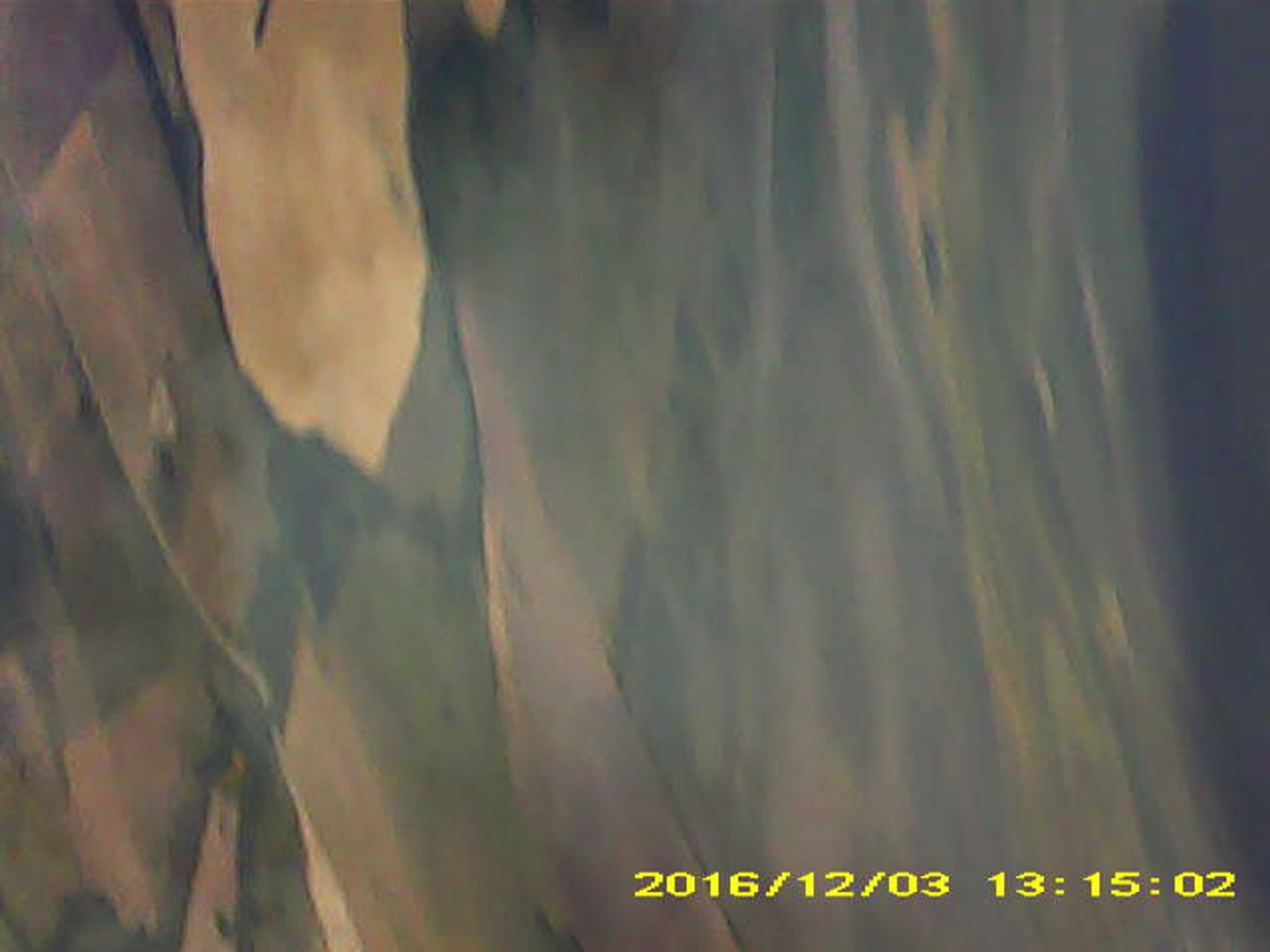 Pichon-2 2016_131502.JPG