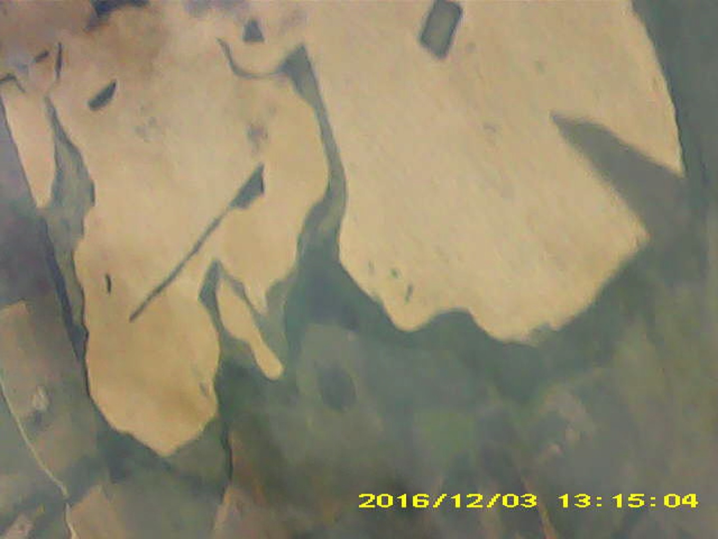 Pichon-2 2016_131504_1.JPG