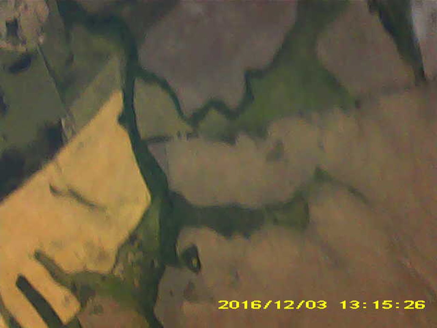 Pichon-2 2016_131526.JPG