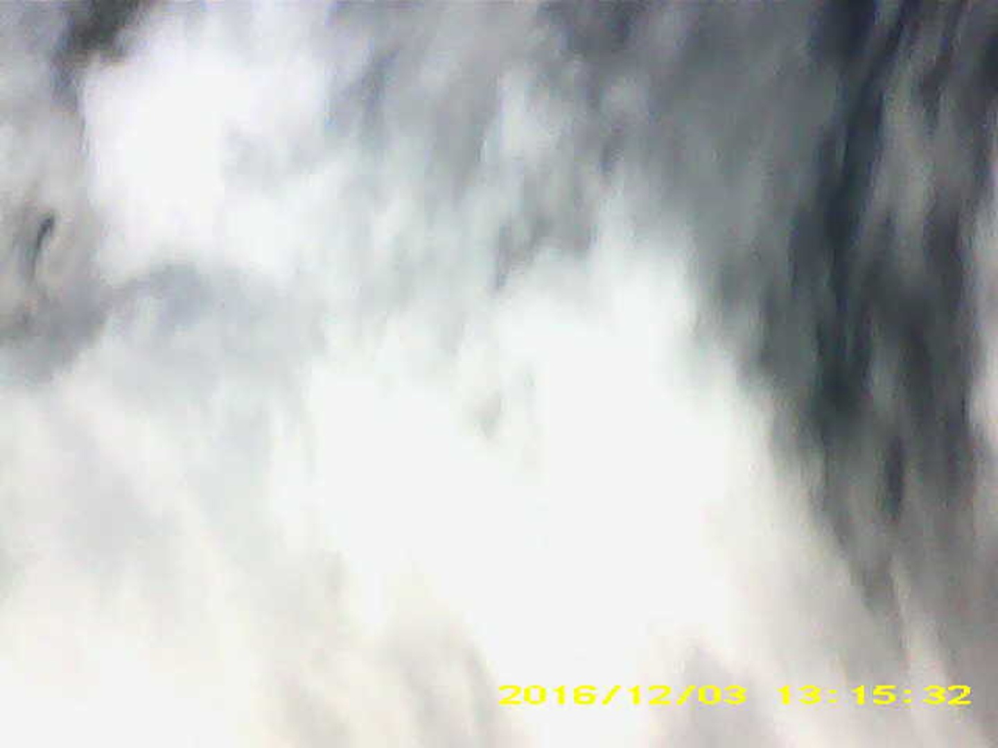 Pichon-2 2016_131532.JPG