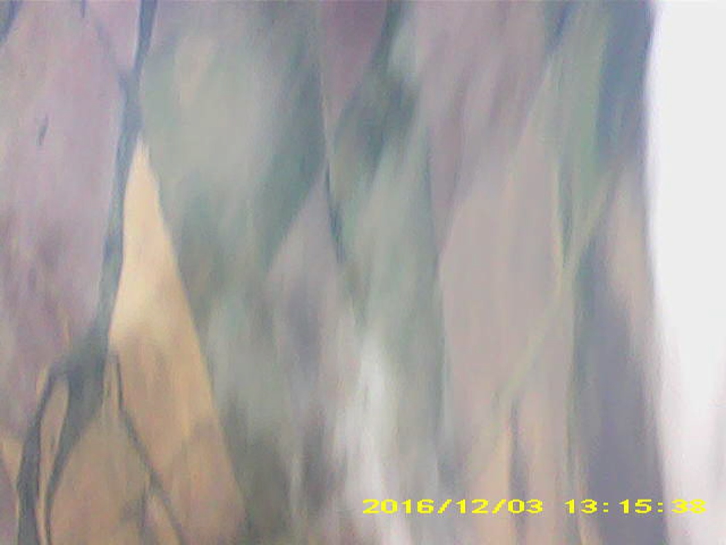 Pichon-2 2016_131538_1.JPG