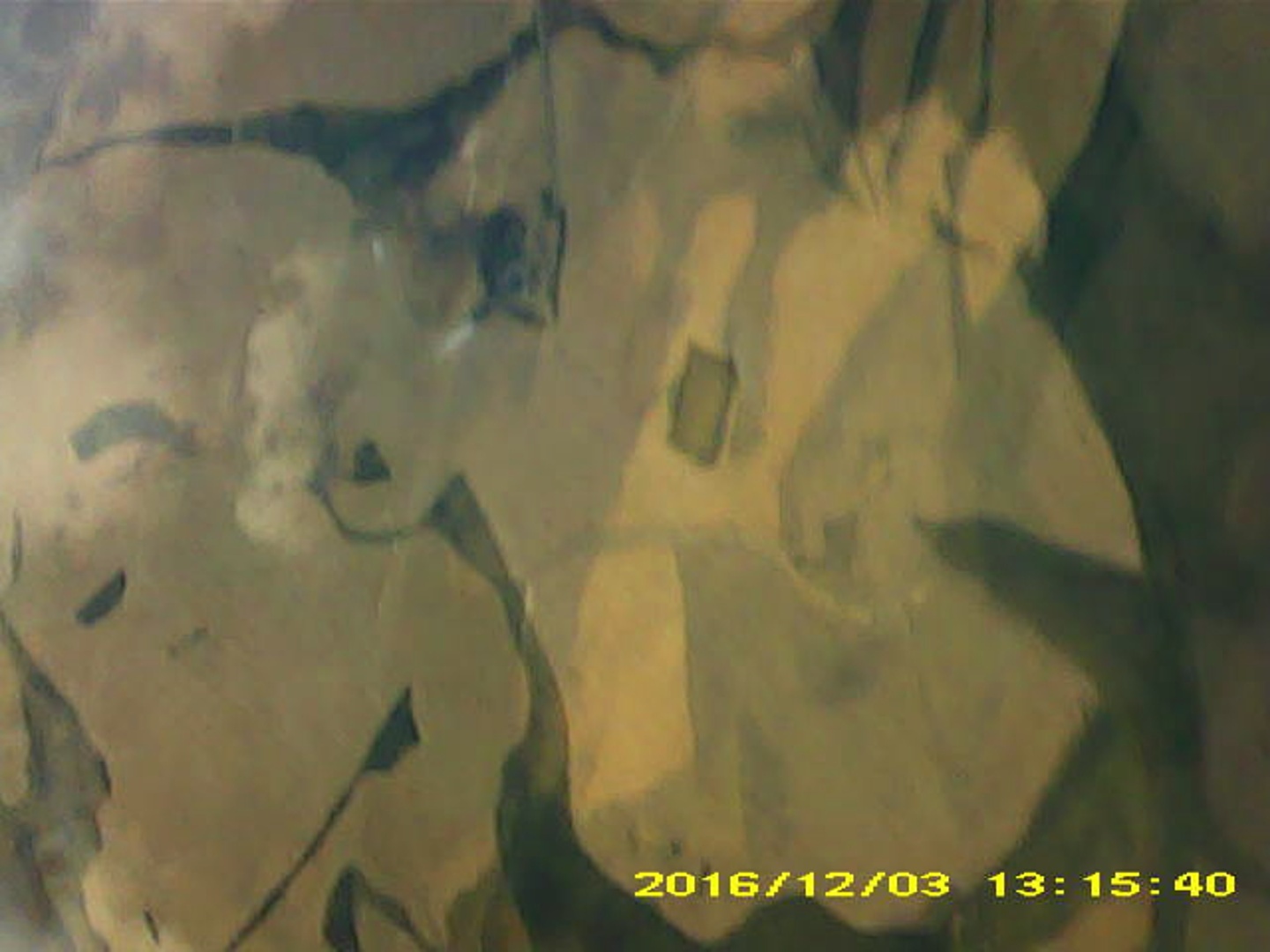 Pichon-2 2016_131540.JPG