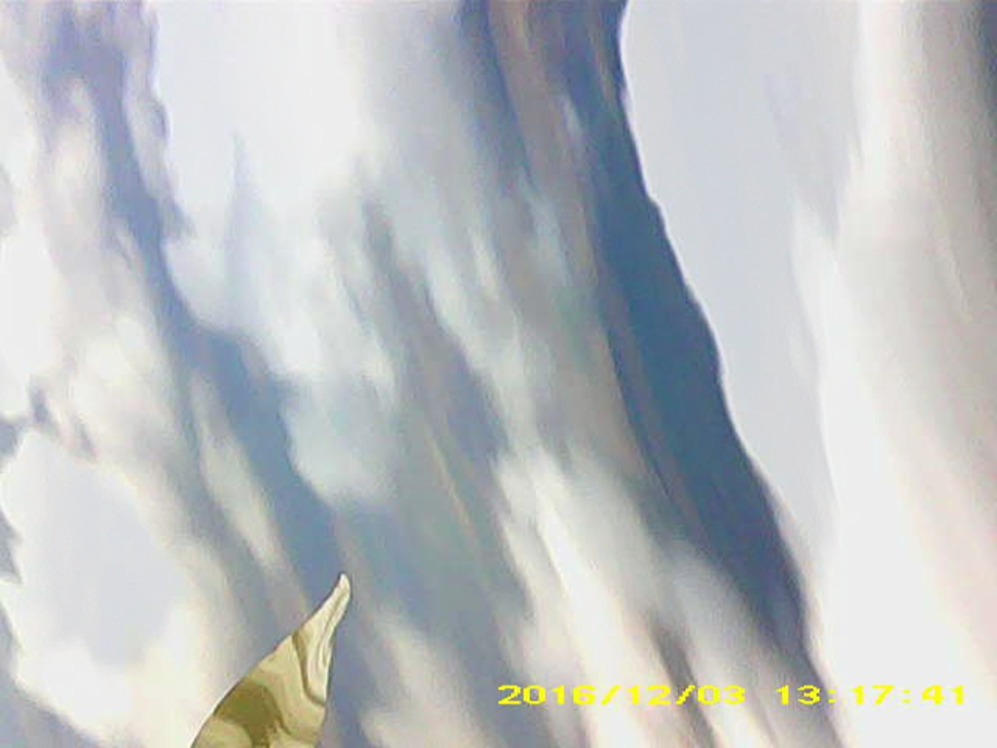 Pichon-2 2016_131741.JPG