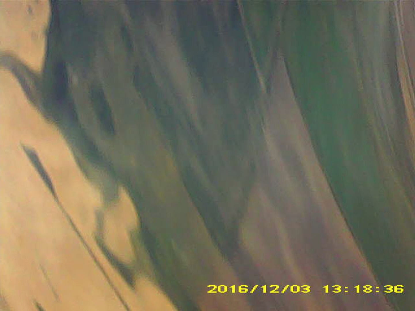 Pichon-2 2016_131836.JPG