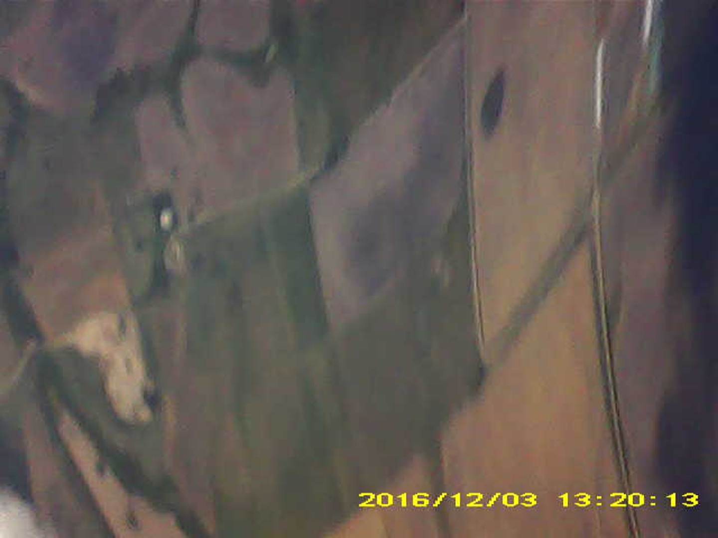 Pichon-2 2016_132013.JPG