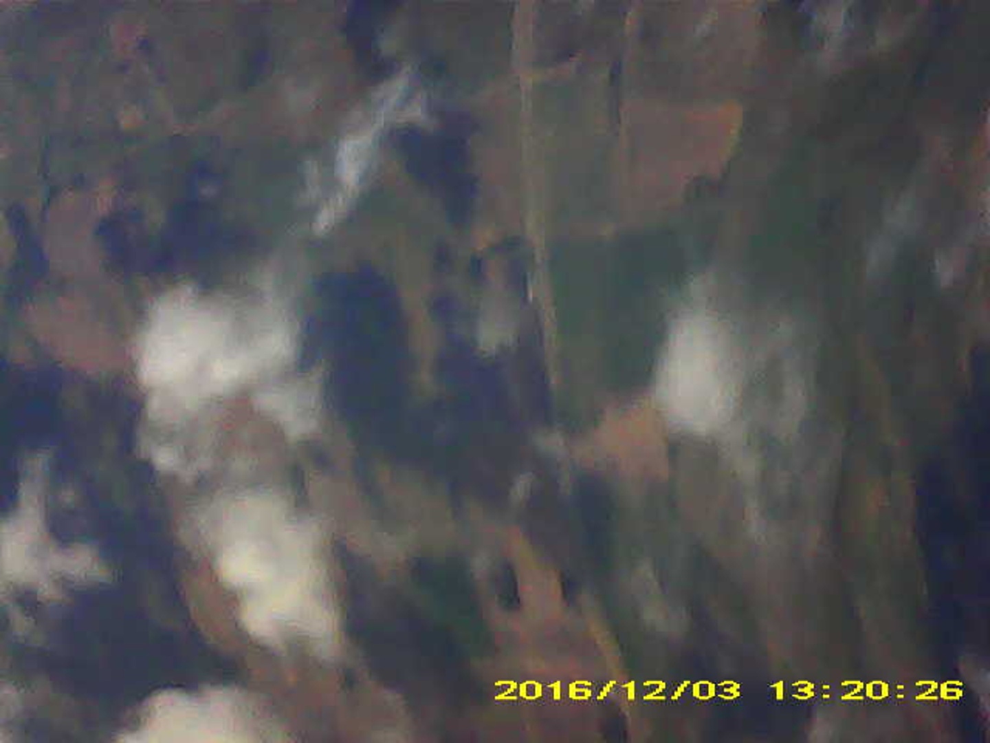 Pichon-2 2016_132026.JPG