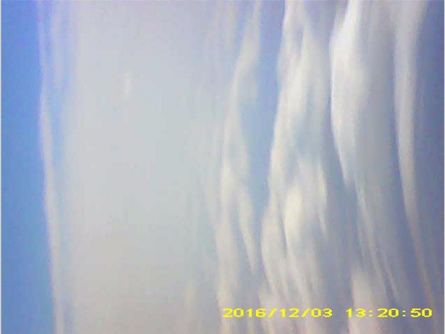 Pichon-2 2016_132050.JPG