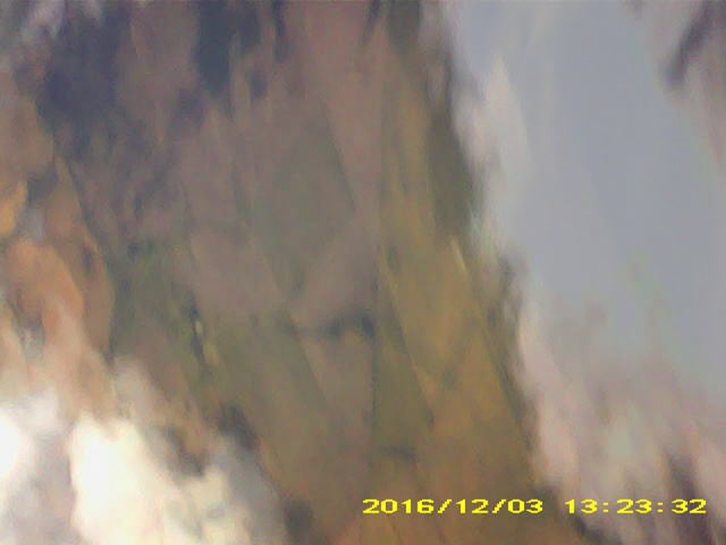 Pichon-2 2016_132332.JPG