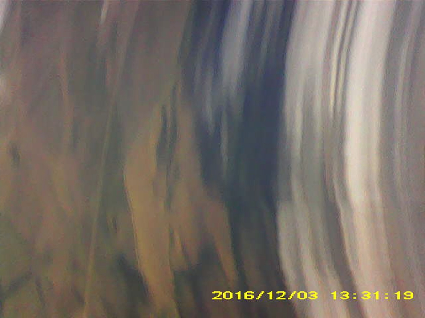 Pichon-2 2016_133119.JPG