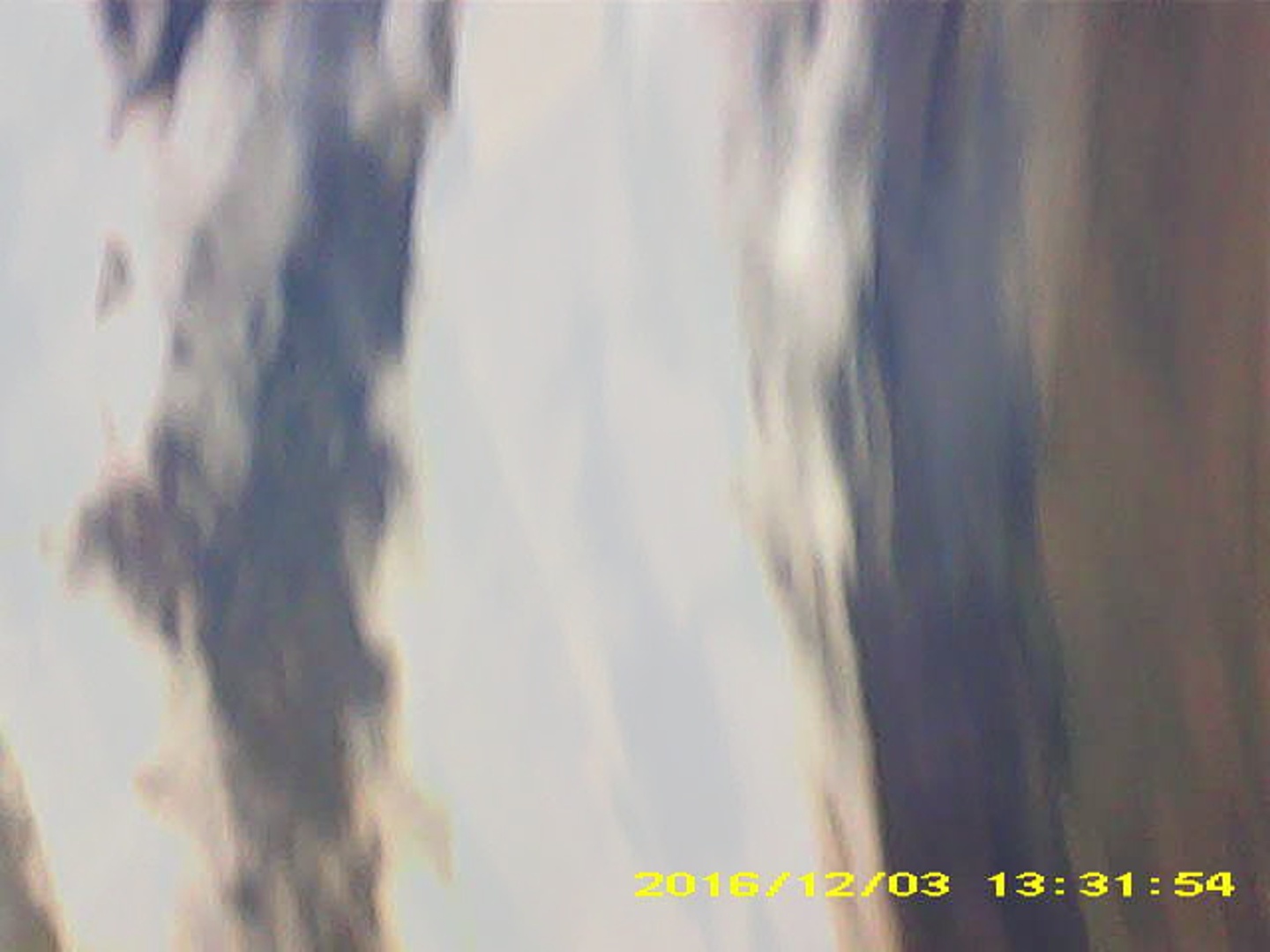 Pichon-2 2016_133154.JPG