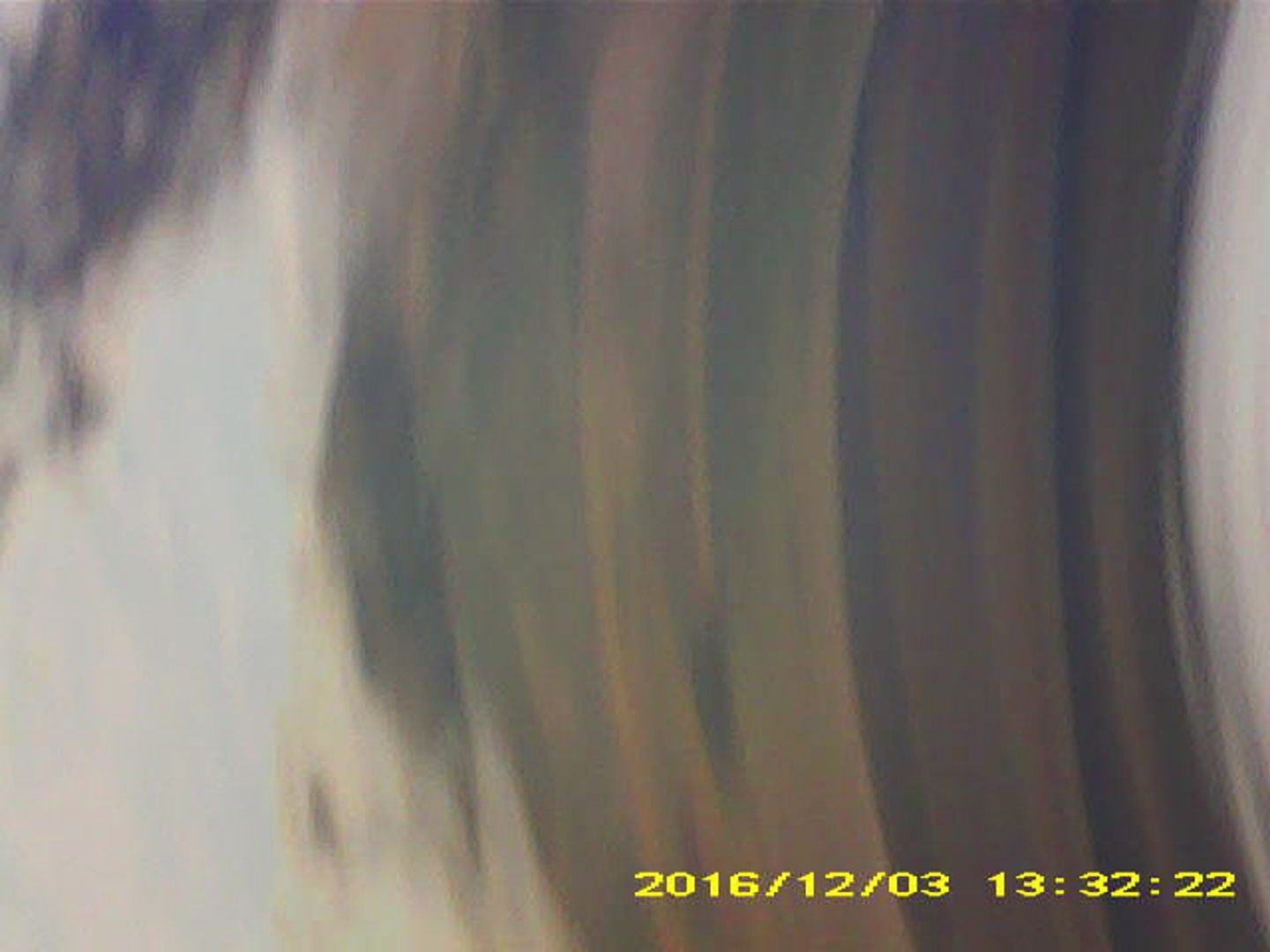 Pichon-2 2016_133222.JPG