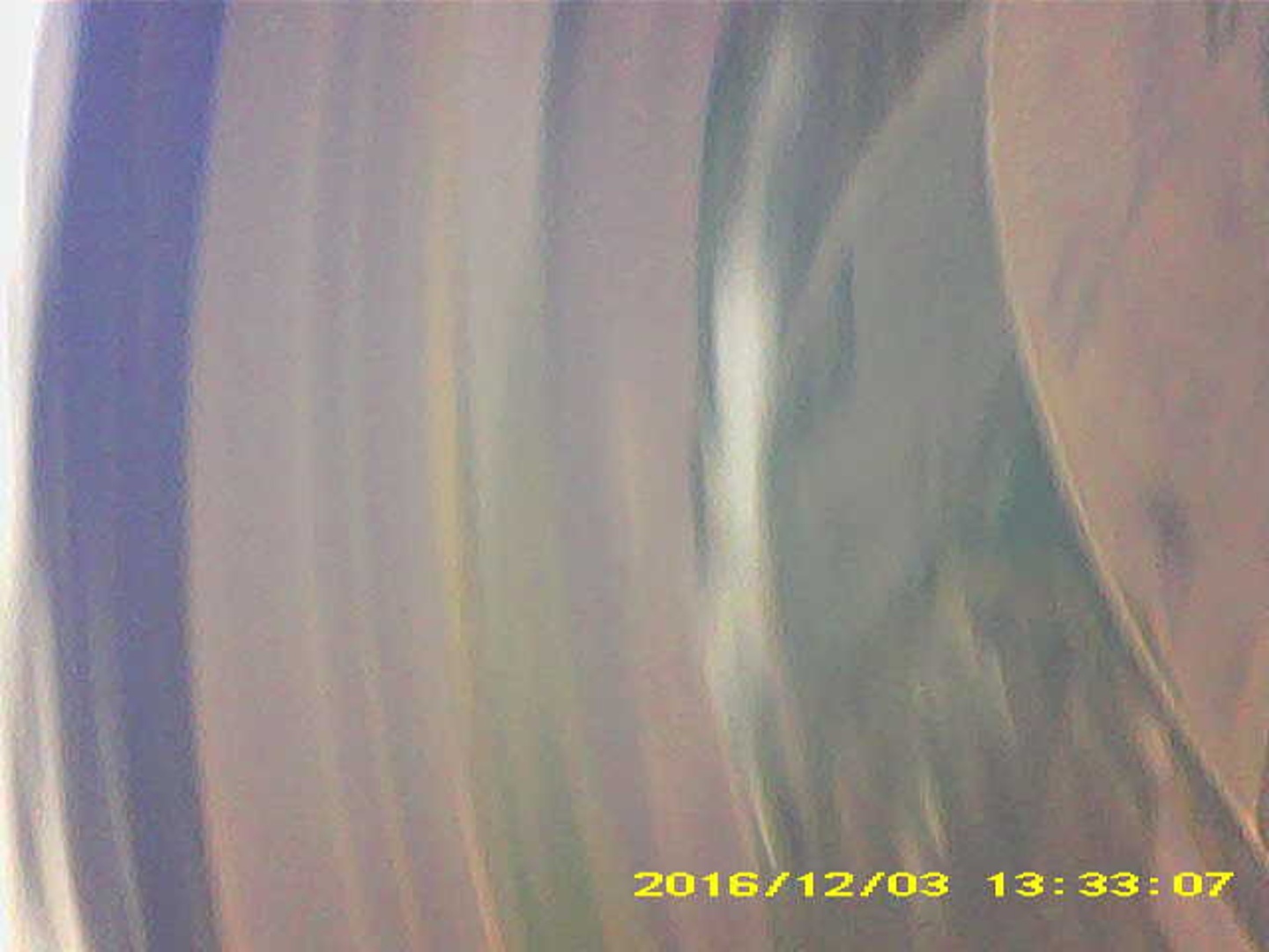 Pichon-2 2016_133307.JPG