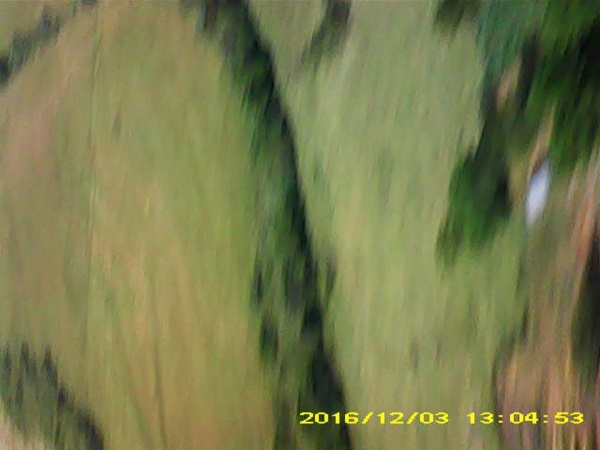 Pichon-2 2016_130453.JPG