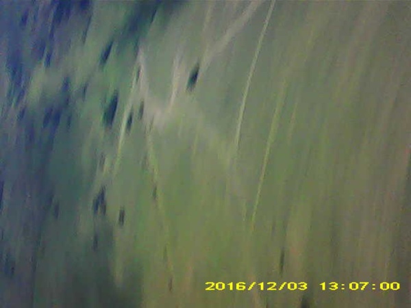 Pichon-2 2016_130700.JPG