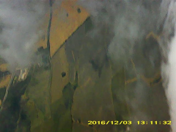 Pichon-2 2016_131132.JPG