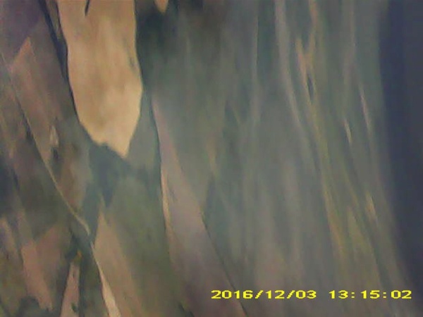 Pichon-2 2016_131502.JPG