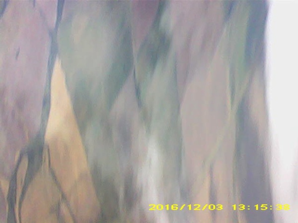 Pichon-2 2016_131538_1.JPG