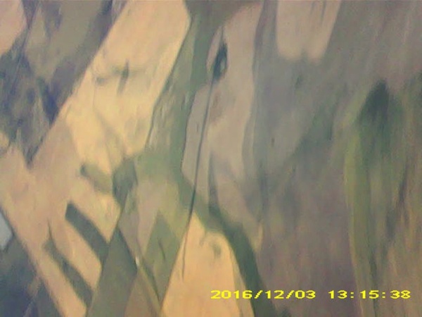 Pichon-2 2016_131538_2.JPG