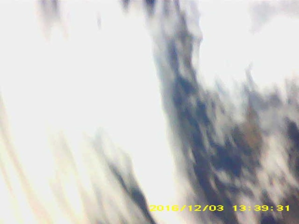 Pichon-2 2016_133931.JPG