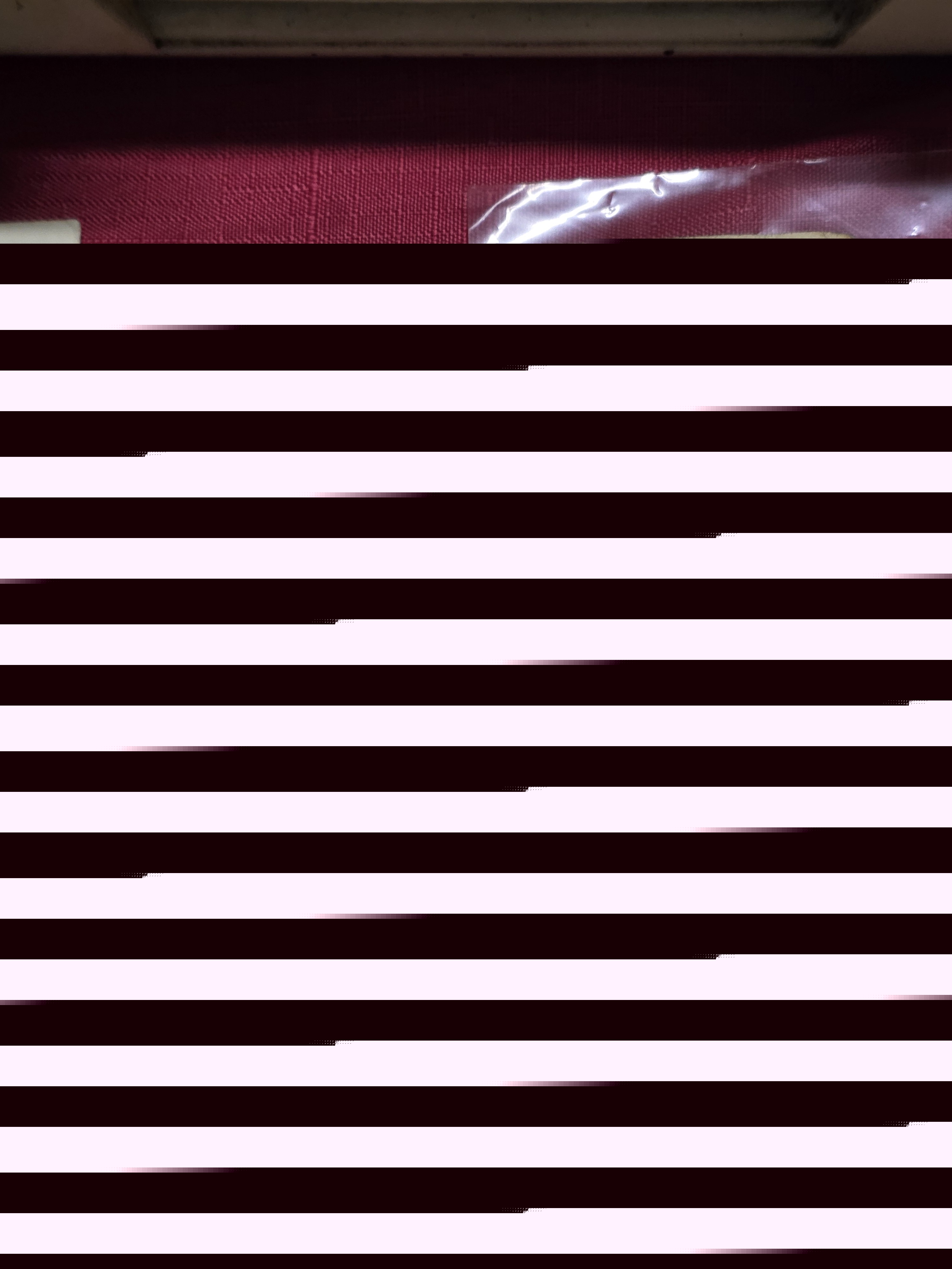 20261003_211211.jpg